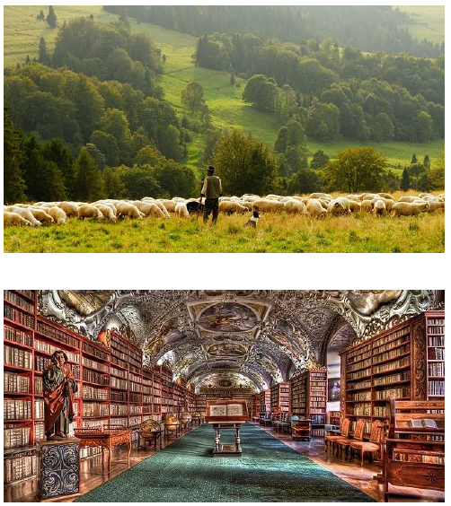 Farm or library