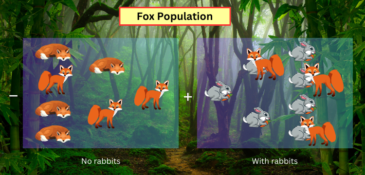 Population of foxes